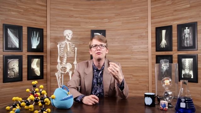 Urinary System, Part 1: Crash Course Anatomy & Physiology #38 смотреть онлайн
