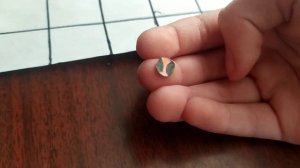 бумажные собаки? распаковка посылки ?