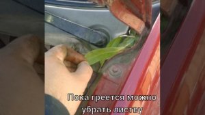 Ремонт и обслуживание Volkswagen b3- Замена антифриза