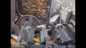 Саморобний кукурузо уборочний комбайн.(Самодельный кукурузо уборочный комбайн)