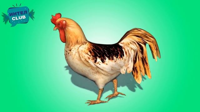 Как говорят животные - Звуки настоящих животных -развивающие мультики Монтессори для самых маленьки смотреть онлайн
