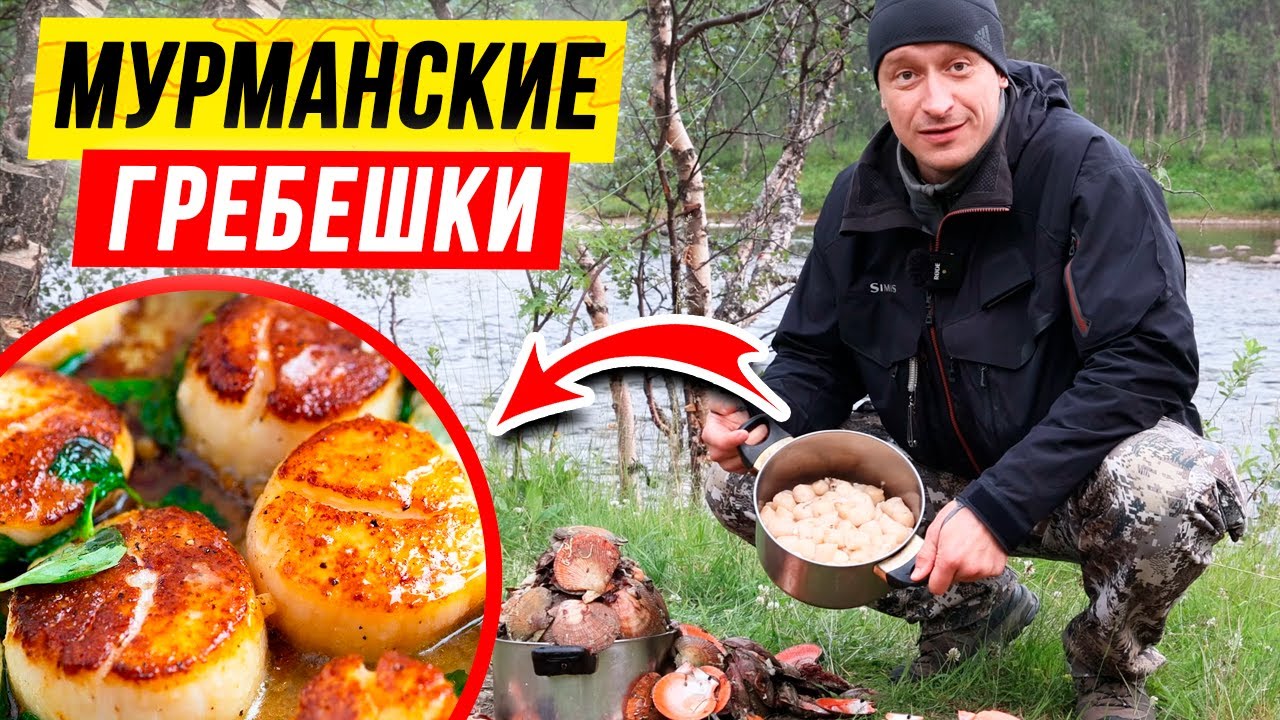 Морские ГРЕБЕШКИ: как правильно чистить и готовить морские гребешки смотреть онлайн