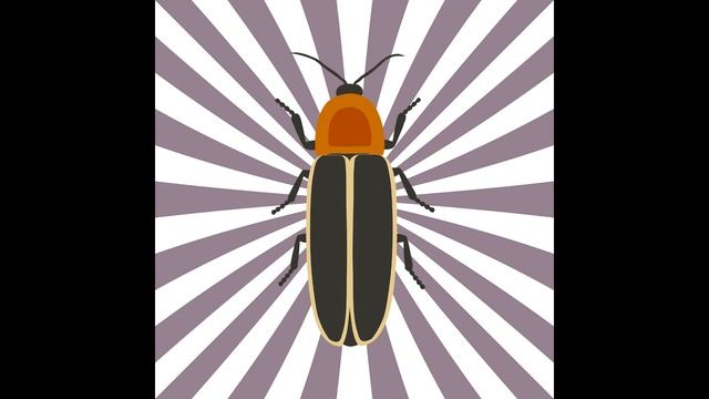 ОТПУГИВАТЕЛЬ ТАРАКАНОВ. Высокочастотный звук против тараканов смотреть онлайн