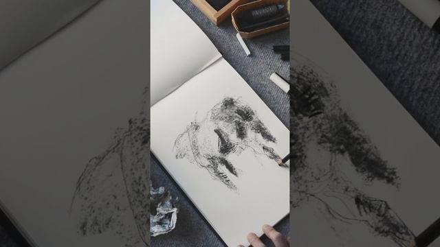 Quick Sketch from Your Picture 1 - Horse Drawing Demo with charcoal смотреть онлайн