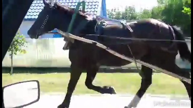 КИБИТКА смотреть онлайн