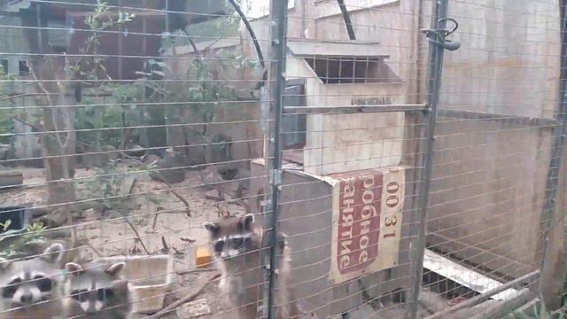 28.08.22. купание #красоткаСохо и #машахулиганяша взревноМаша смотреть онлайн