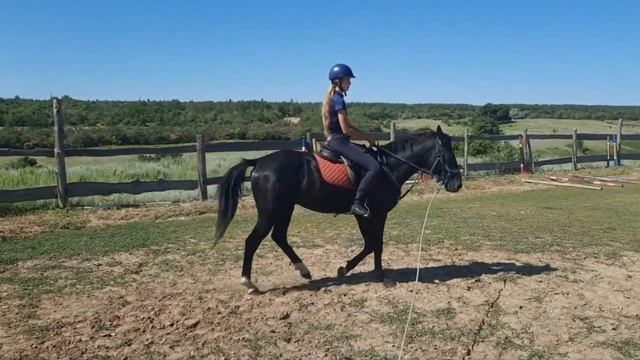Обучение карачаевского жеребца смотреть онлайн