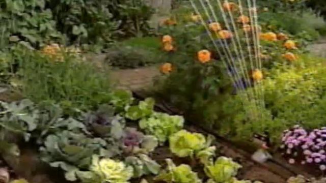 GARDENA - система микрокапельного полива.