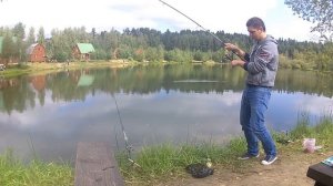 Подмосковный платник Литвиново
