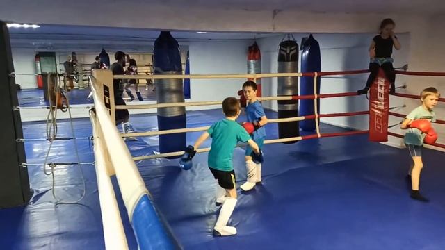 2020.02.29 Дети по тайскому боксу в клубе Лотос смотреть онлайн