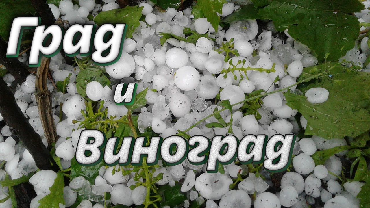 Град и виноград. Сильный ливень с ГРАДОМ в Новоалтайске. Video Trawl #050 смотреть онлайн