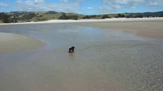 Beach смотреть онлайн