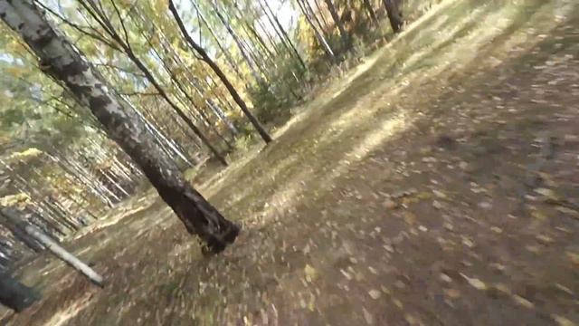 В лесу весело летать! смотреть онлайн