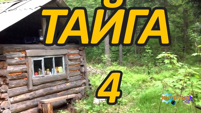 Тайга 4 из 4 смотреть онлайн