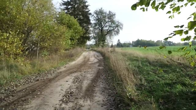 Honda jeździ JAK SZALONA! Podsumowanie Projektu CR80 v2 ? смотреть онлайн