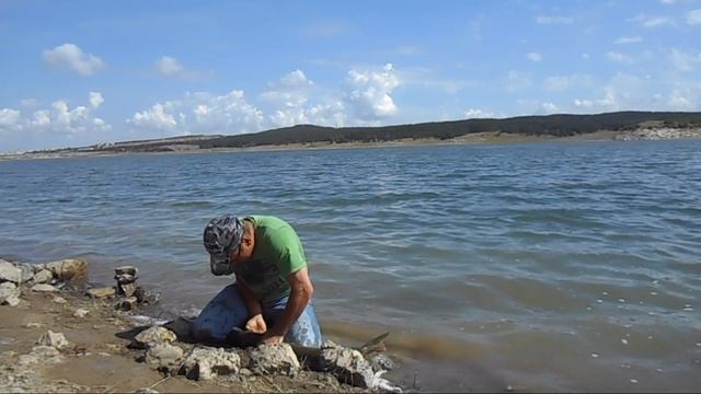 Рыба Верная