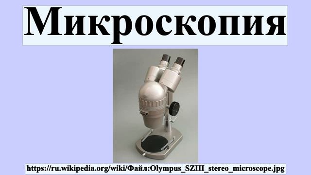 Микроскопия