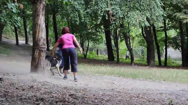 Алеант Велемир. Тренировка в ШОС "АРЕС" 15-16.08.15 смотреть онлайн