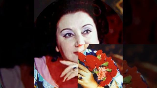 Şövkət Ələkbərova - Sumqayıt. смотреть онлайн