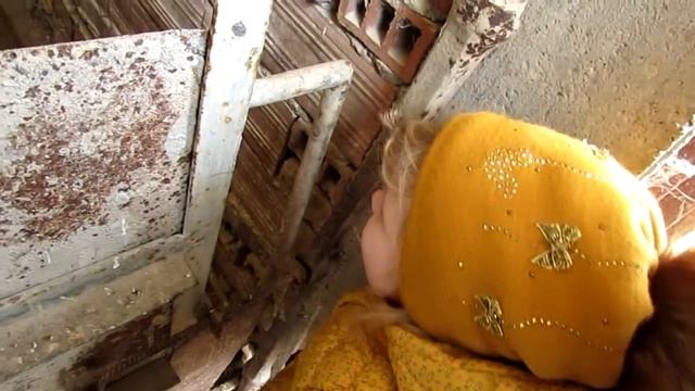 ? ? ? Свиньи в домике: как живут Ниф-Ниф, Наф-Наф и Нуф-Нуф 3 LITTLE PIGS смотреть онлайн