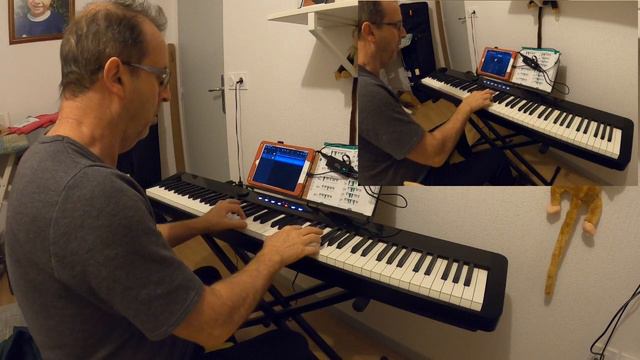 PW Solo Piano Casio Privia PX S1000 du 17 12 2022 смотреть онлайн