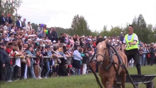 #Сабантуй #Янаул #рек смотреть онлайн