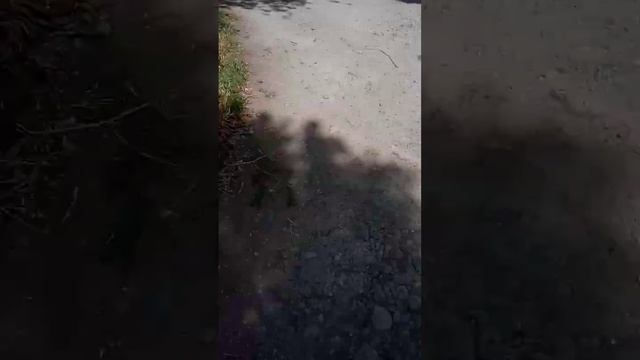 Доктор Брано смотреть онлайн