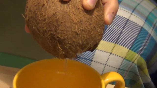 Как вскрыть кокос. Небольшое руководство. смотреть онлайн