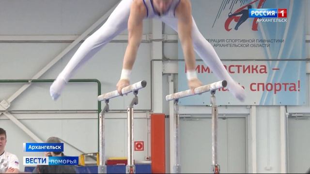 В Архангельске прошел чемпионат СЗФО по спортивной гимнастике среди мужчин смотреть онлайн