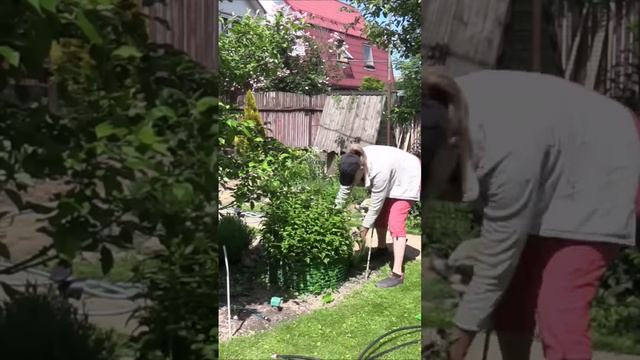 Простые идеи для красивого сада смотреть онлайн