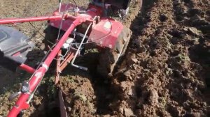 Мотокультиватор Асилак пашет #belarus #china #asilak #sl-145 #motokultivator