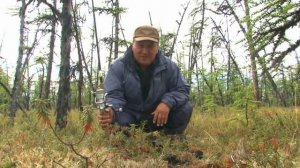 Анатолий Полотно и Федя Карманов - «Где мы только ни бываем»