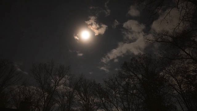 Шохрух и БоБ - Будь верным 2024 | Шохрух и Боб - Будь верным 2024 смотреть онлайн