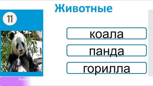 РКИ Животные Тест Russian Animals Test смотреть онлайн