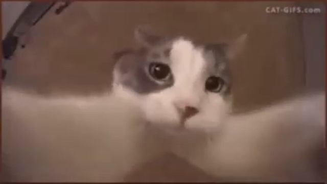tried to read nbt tag that was too big смотреть онлайн