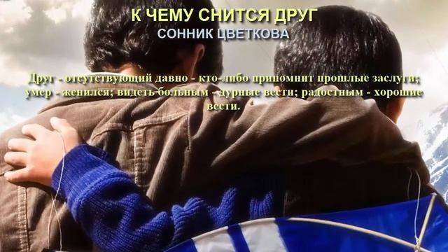 К чему снится друг. Сонник Цветкова. Толкование снов. смотреть онлайн