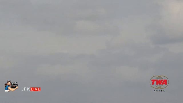 New York JFK Airport Live