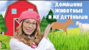 Домашние животные и их детеныши (3-5 лет). Помоги цыплёнку найти свою маму!