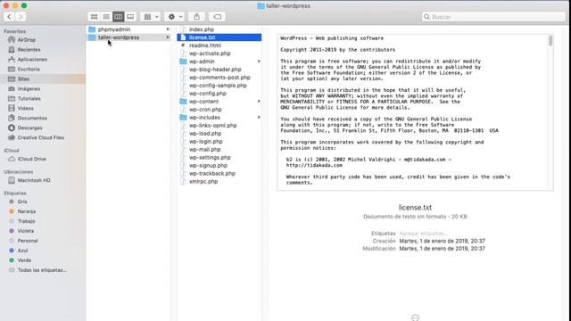 Wordpress #4 Custom Post Type смотреть онлайн