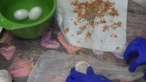 Мраморные яйца на Пасху в луковой шелухе? Как оригинально покрасить пасхальные яйца в мраморный цве