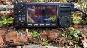 Xiegu x6100 QRP связь из леса…
