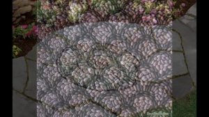 Садовые дорожки из гальки