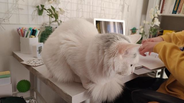 Как не срывать дедлайны и делать всё вовремя смотреть онлайн