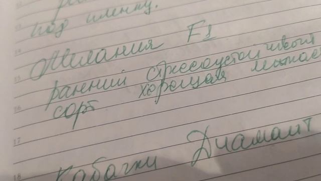 Огородные истории. Я пишу книгу. смотреть онлайн