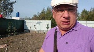 Почему не стоит разводить гусей?