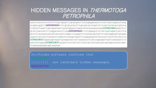 The Search for Hidden Messages in the Replication Origin (Part 2) смотреть онлайн