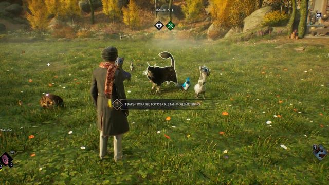 #28 Hogwarts Legacy прохождение. Часть 28. Призрак нашей любви. Уроки Астрономии. смотреть онлайн