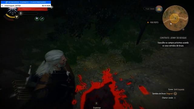 Saga 13 de The Witcher 3 - Bora zerar esse Maravilhoso Game смотреть онлайн