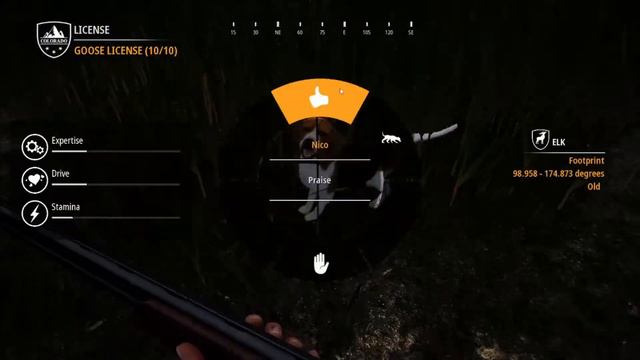 Going Waterfowl Hunting and Getting A Labrador! - Hunting Simulator 2 смотреть онлайн