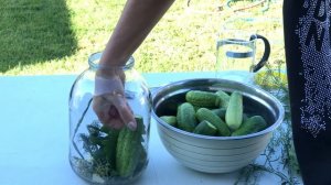Как солить огурцы. В холодной воде - настоящий вкус бочковых огурцов!